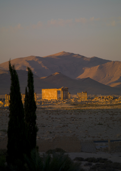 The Ancient Roman City, Palmyra, Syrian Desert, Syria