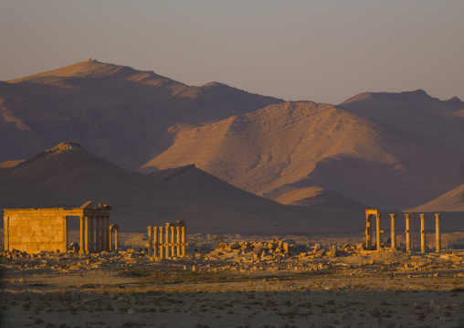 The Ancient Roman City, Palmyra, Syrian Desert, Syria