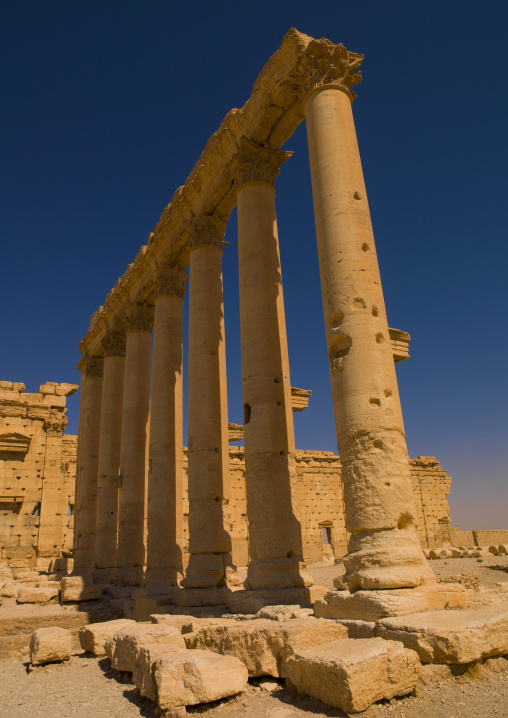 The Ancient Roman City, Palmyra, Syrian Desert, Syria