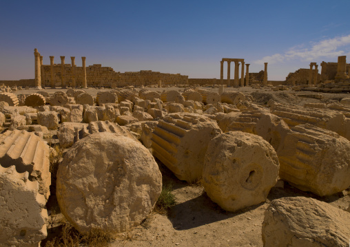 The Ancient Roman City, Palmyra, Syrian Desert, Syria