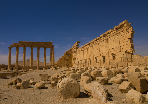 The Ancient Roman City, Palmyra, Syrian Desert, Syria