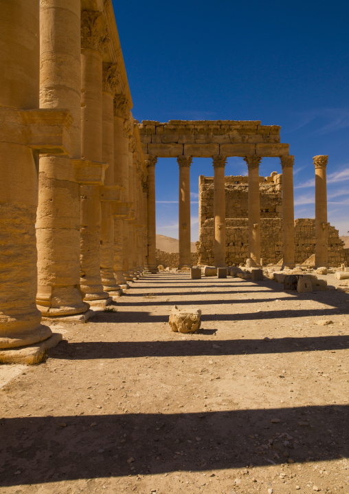 The Ancient Roman City, Palmyra, Syrian Desert, Syria