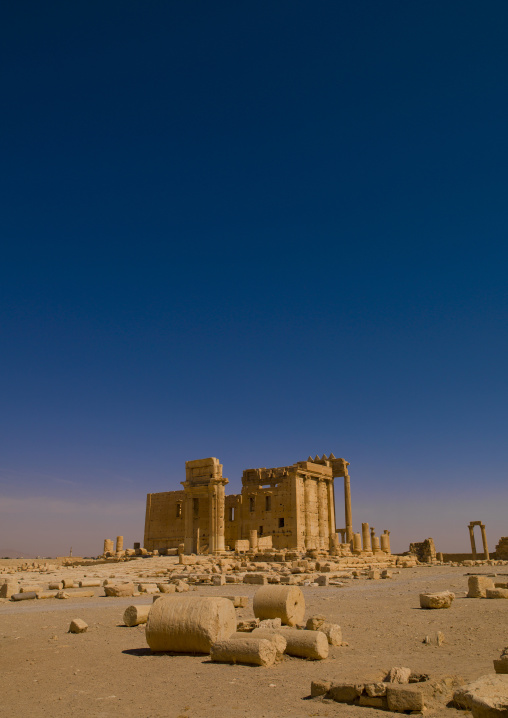 The Ancient Roman City, Palmyra, Syrian Desert, Syria