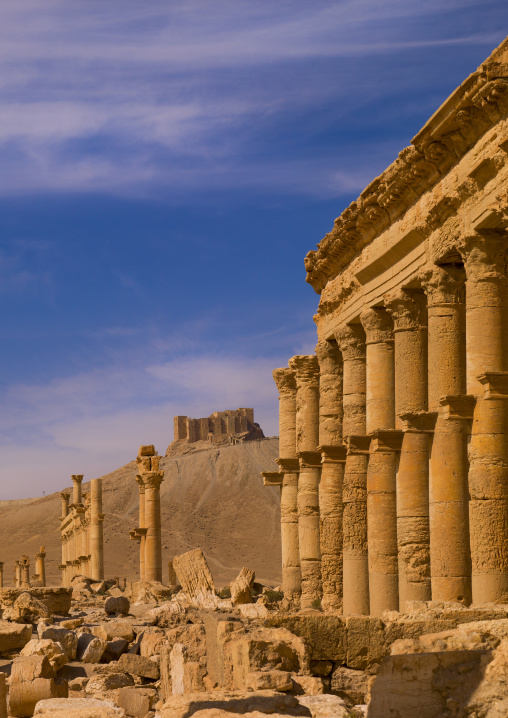 The Ancient Roman City, Palmyra, Syrian Desert, Syria