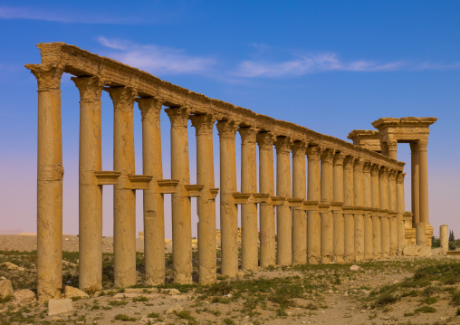 Monumental Arch And Colonnaded Street In The Ancient Roman City, Palmyra, Syrian Desert, Syria