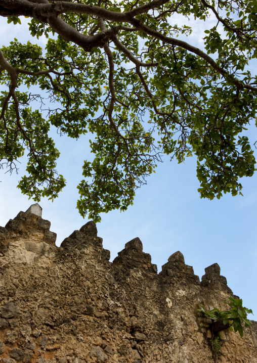 Old mosque in kilwa kisiwani, Tanzania