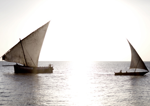 Dhows in zanzibar, Tanzania