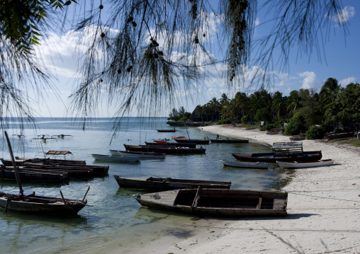 Kizimkazi, Zanzibar, Tanzania