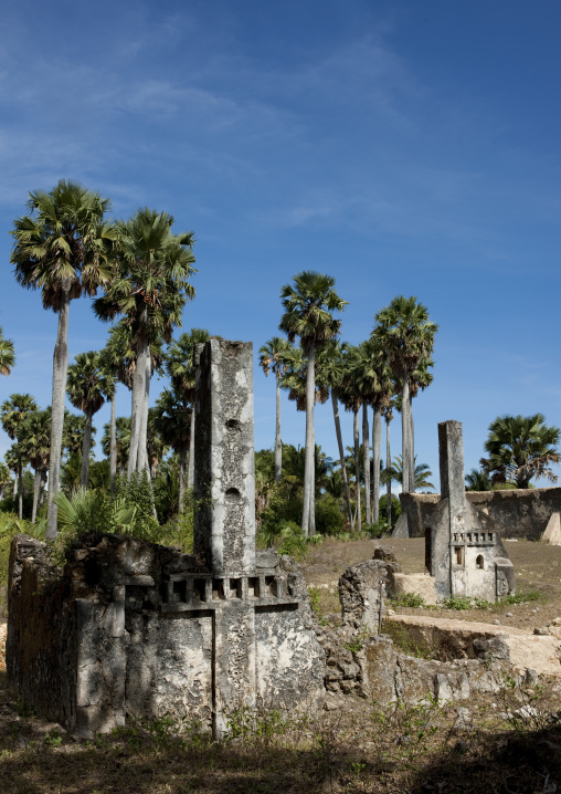 Tomb in the mkumbuu ancient town, Pemba, Tanzania