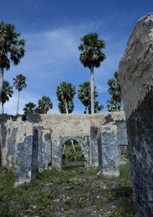 Mkumbuu ancient town, Pemba, Tanzania