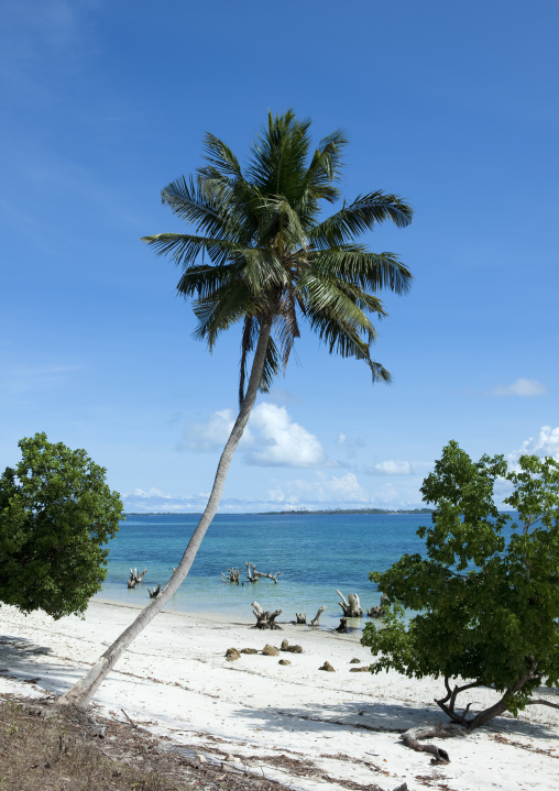 Mkumbuu ancient town, Pemba, Tanzania