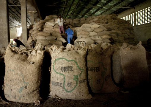 Gloves factory, Pemba, Tanzania