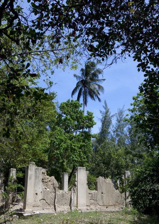 Pujini ruins, Pemba, Tanzania