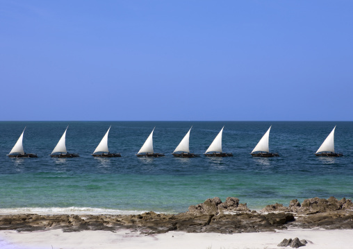 Dhows in pemba, Tanzania