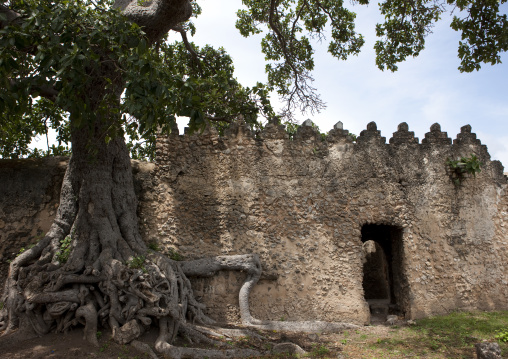 Old mosque in kilwa kisiwani, Tanzania