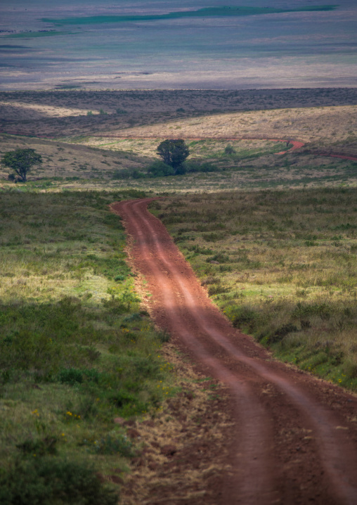 Tanzania, Arusha Region, Ngorongoro Conservation Area, a dirt track dissecting a vast short grass savannah plain surrounded by a volcano caldera wall