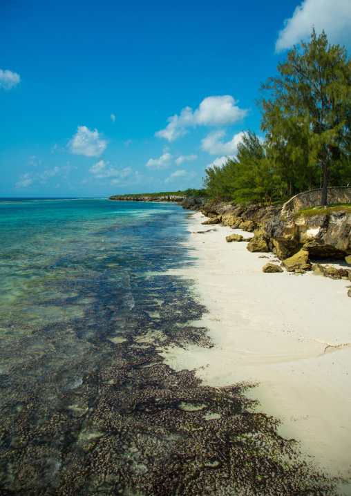 Tanzania, Zanzibar, Matemwe, muyuni beach