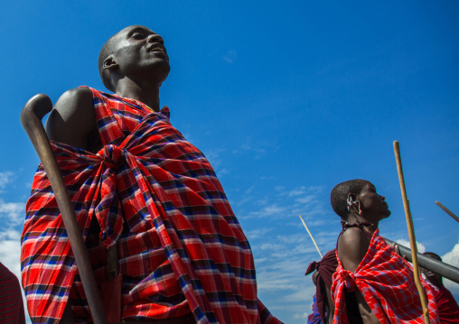 Tanzania, Ashura region, Ngorongoro Conservation Area, maasai men performing the warriors' dance