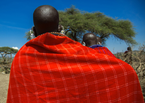 Tanzania, Ashura region, Ngorongoro Conservation Area, maasai beaded earring worn by women