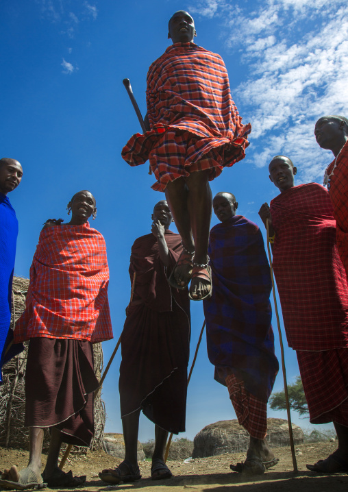 Tanzania, Ashura region, Ngorongoro Conservation Area, maasai men performing the warriors' dance