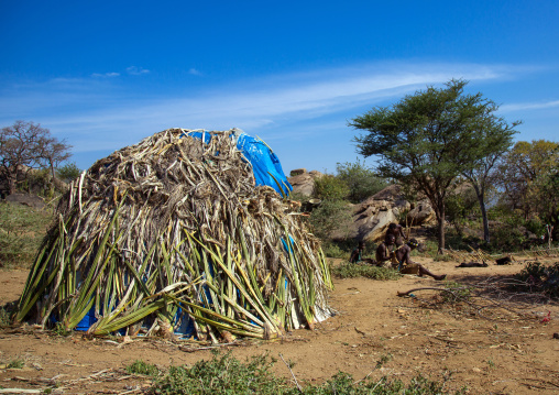 Tanzania, Serengeti Plateau, Lake Eyasi, hadzabe tribe traditional huts made with sisal agaves in a village