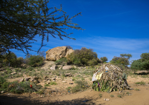 Tanzania, Serengeti Plateau, Lake Eyasi, hadzabe tribe traditional huts made with sisal agaves in a village