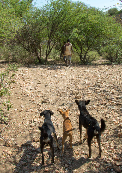 Tanzania, Serengeti Plateau, Lake Eyasi, hadzabe tribe men hunting with dogs