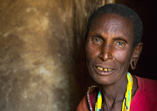 Tanzania, Serengeti Plateau, Lake Eyasi, datoga tribe woman with scarifications and tattoos on the face