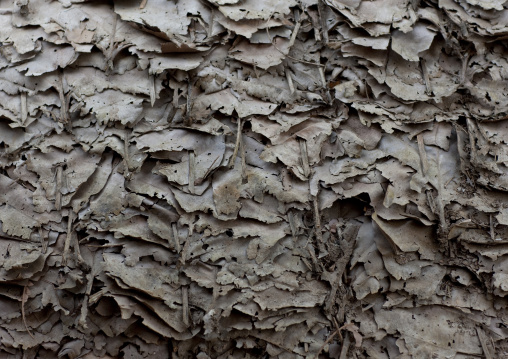 Leaves roof, Mae soi-u karen village, Thailand