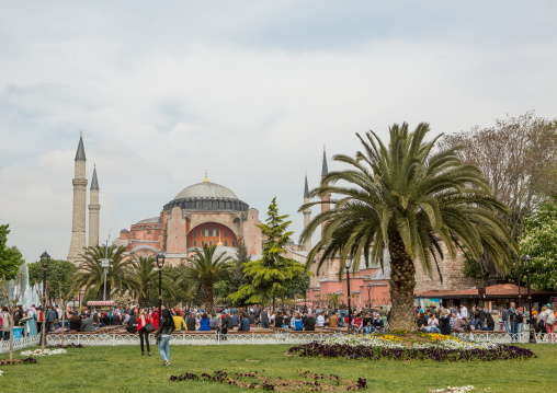 Gardens in front of the the Blue mosque sultan Ahmet Camii, Sultanahmet, istanbul, Turkey