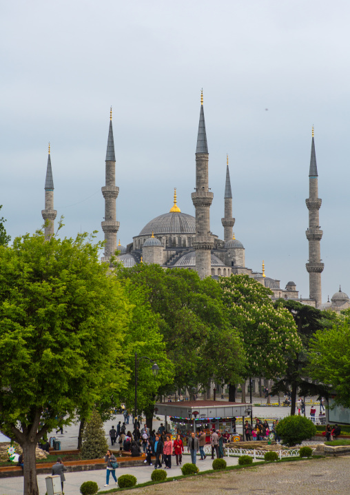 Gardens in front of the the Blue mosque sultan Ahmet Camii, Marmara Region, istanbul, Turkey