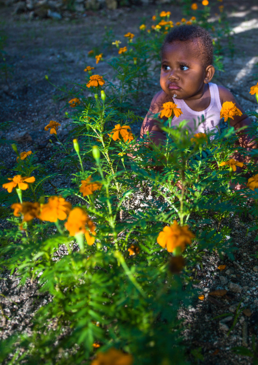 A todder sit in the middle of flowers in a garden, Shefa Province, Efate island, Vanuatu