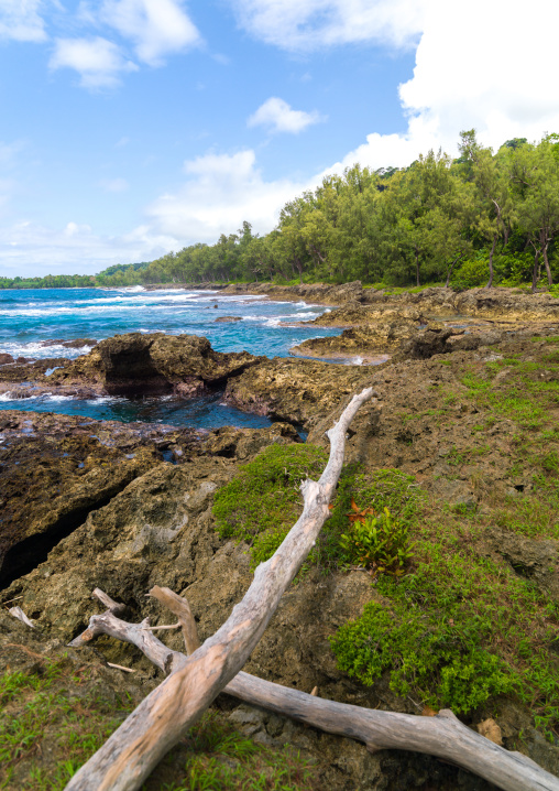 Rocky shore, Shefa Province, Efate island, Vanuatu