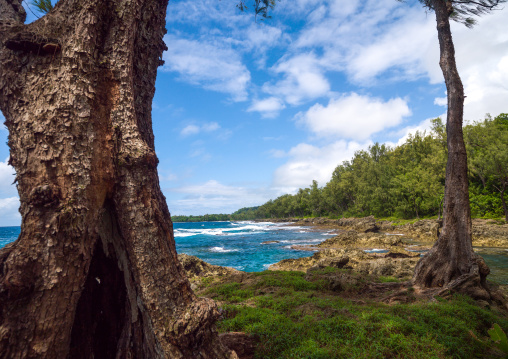 Rocky shore, Shefa Province, Efate island, Vanuatu