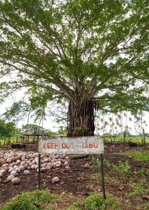 Billboard in front of a pigsty for a taboo area where it is forbidden to enter, Shefa Province, Efate island, Vanuatu