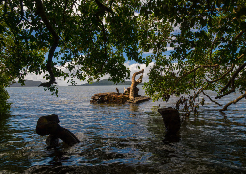 Rusting and abandoned world war 2 american tank left for many years after being dumped in the sea, Shefa Province, Efate island, Vanuatu