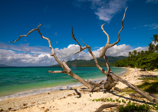 Turquoise water and white sand on a beach, Shefa Province, Efate island, Vanuatu