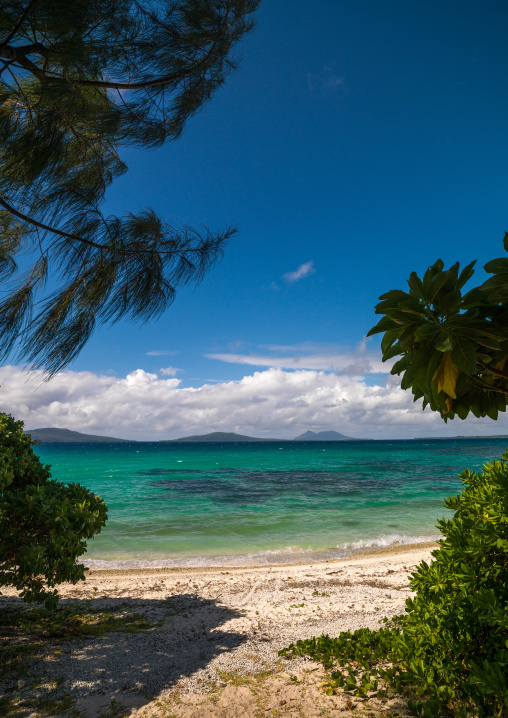 Turquoise water and white sand on a beach, Shefa Province, Efate island, Vanuatu