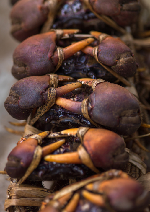 Market display of tied crabs, Shefa Province, Efate island, Vanuatu