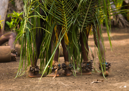 Small Nambas children covered with palm leaves dancing in front of slit gong drums during the palm tree dance, Malekula island, Gortiengser, Vanuatu