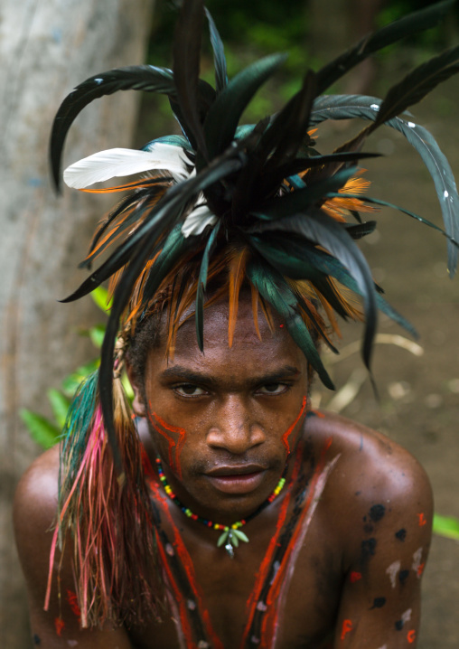 Portrait of a Small Nambas tribesman with feathers in the hair, Malekula island, Gortiengser, Vanuatu