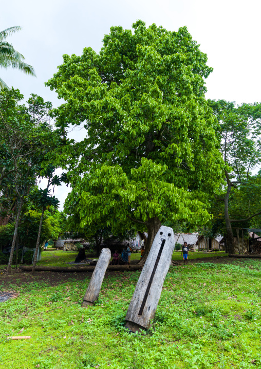 Slit gongs drums in a field, Malampa Province, Malekula Island, Vanuatu