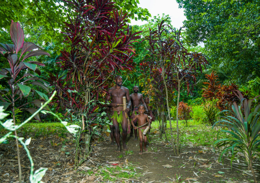 Tribesmen from Big nambas tribe dancing during a ceremony in the forest, Malampa Province, Malekula Island, Vanuatu