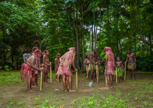 People from Big Nambas tribe performing the dance sticks during a ceremony, Malampa Province, Malekula Island, Vanuatu