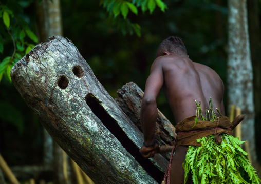 Big Nambas tribesman beating a slit drum during a ceremony, Malampa Province, Malekula Island, Vanuatu