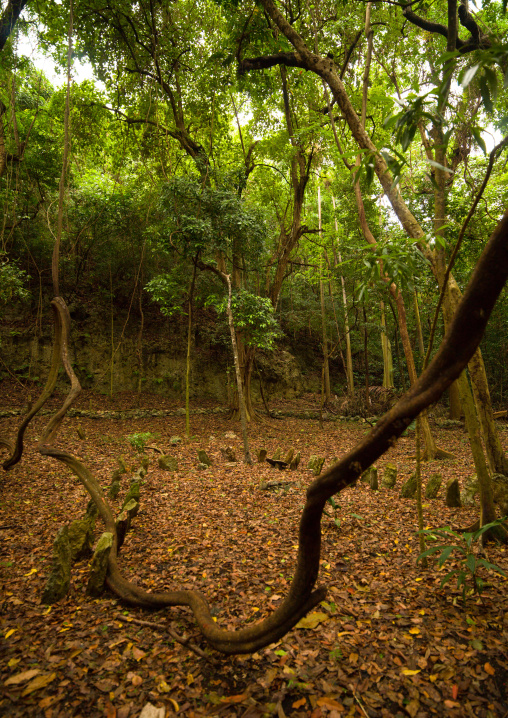 Amelbati site of former cannibal ceremonies, Malampa Province, Malekula Island, Vanuatu