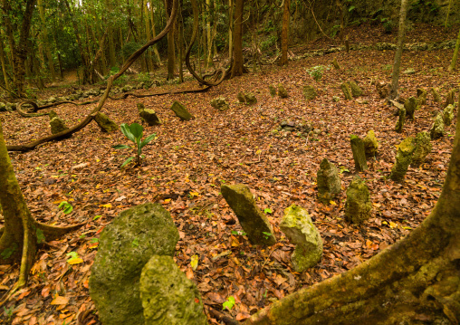 Amelbati site of former cannibal ceremonies, Malampa Province, Malekula Island, Vanuatu