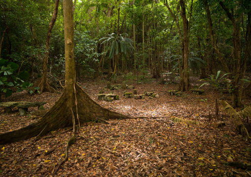 Amelbati site of former cannibal ceremonies, Malampa Province, Malekula Island, Vanuatu