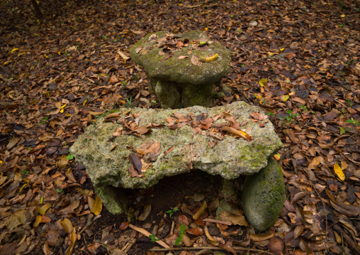 Sacrifice table in Amelbati cannibal site, Malampa Province, Malekula Island, Vanuatu