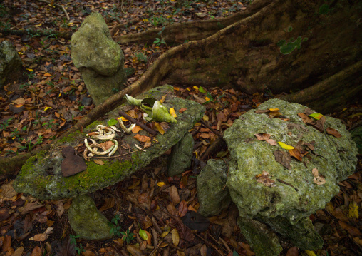 Sacrifice table in Amelbati cannibal site, Malampa Province, Malekula Island, Vanuatu